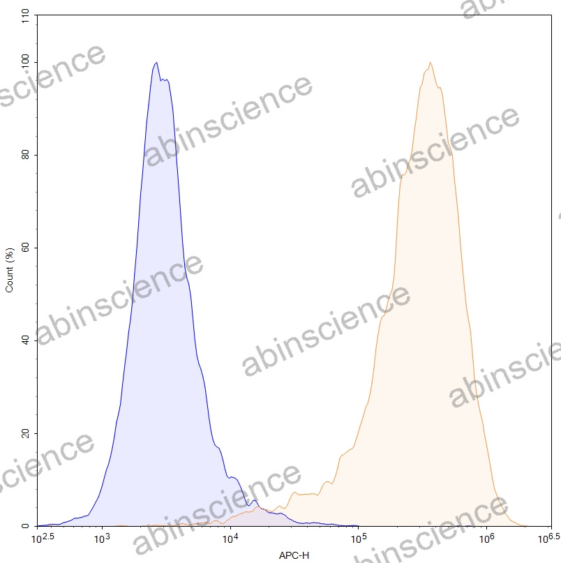 HEK293T Human GPRC5D Stable Cell Line