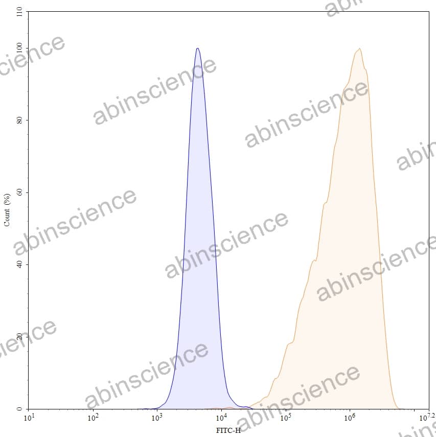 Anti-Human VISTA/B7-H5/PD-1H Reference Antibody (CI-8993, RUO)