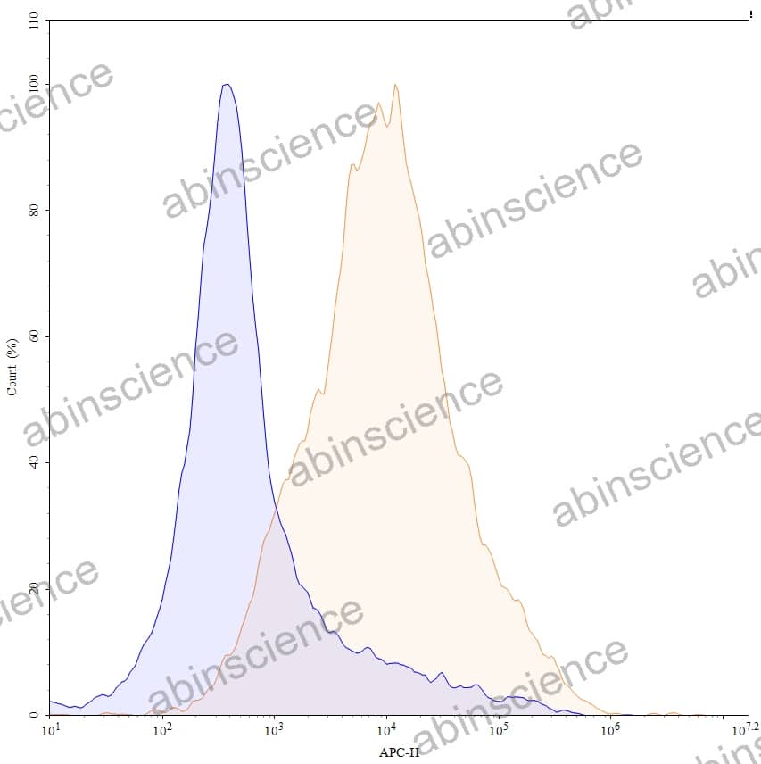 Anti-Human VISTA/B7-H5/PD-1H Reference Antibody (HMBD-002, RUO)