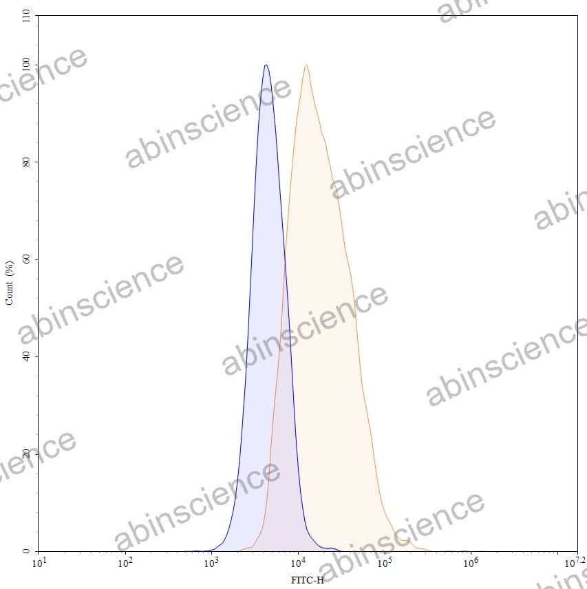 Anti-Human VISTA/B7-H5/PD-1H Reference Antibody (HMBD-002, RUO)