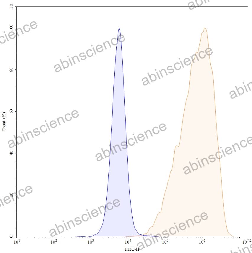 Anti-Human VISTA/B7-H5/PD-1H Recombinant Antibody (SAA0172), FITC