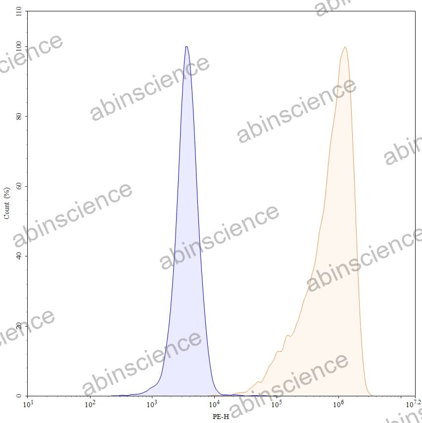 Anti-Human VISTA/B7-H5/PD-1H Recombinant Antibody (SAA0172), PE