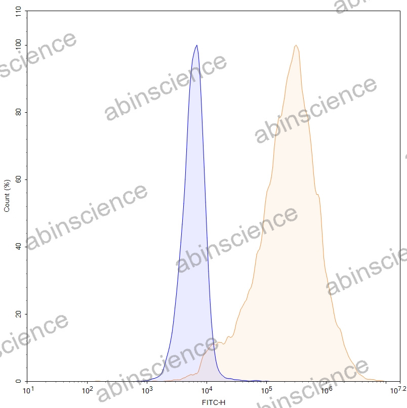 HEK293T Human VSIG4/CRIg Stable Cell Line