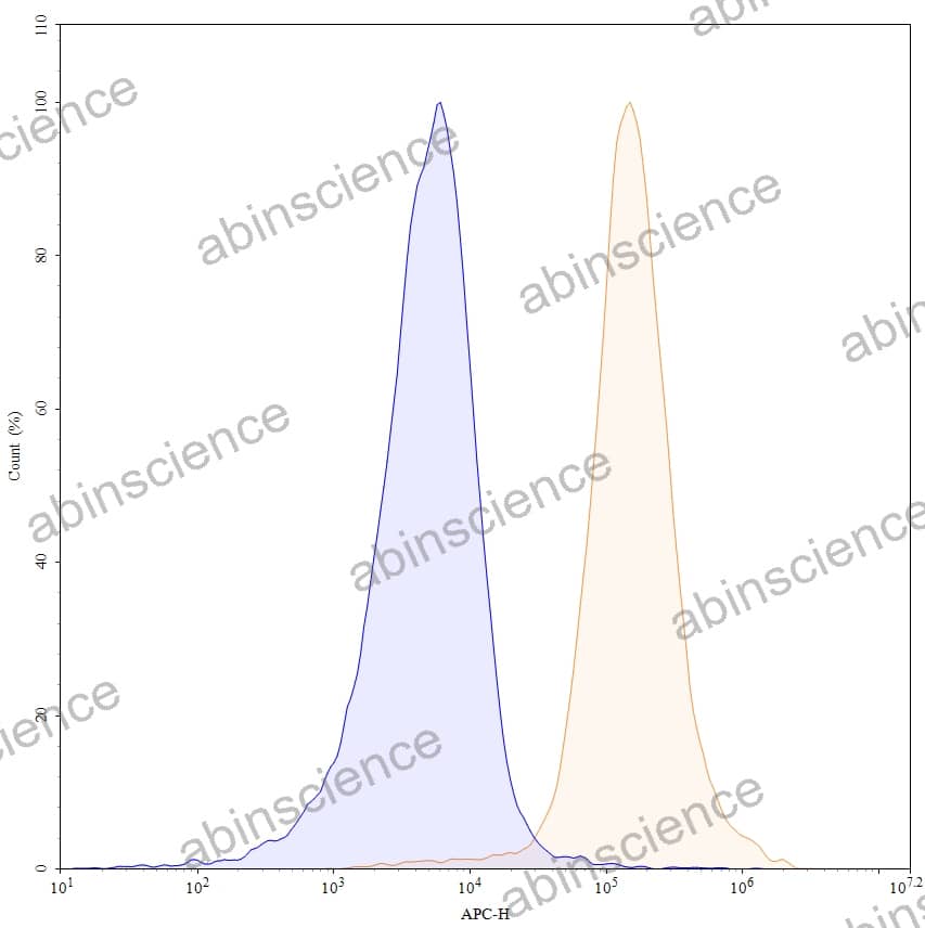 Anti-Human TIGIT Recombinant Antibody (SAA1407), APC