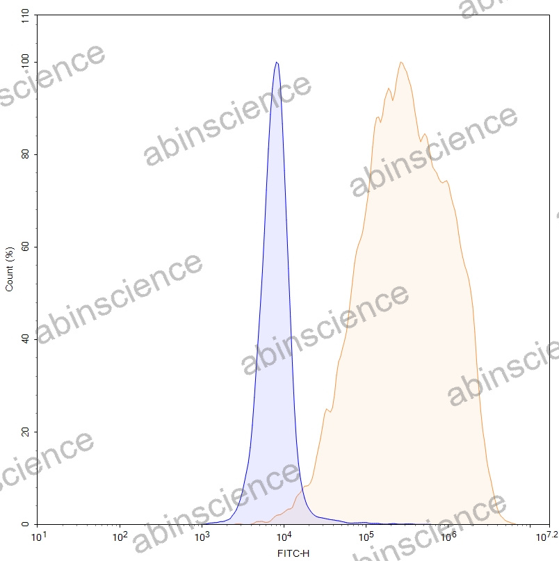 HEK293T Human MICB Stable Cell Line