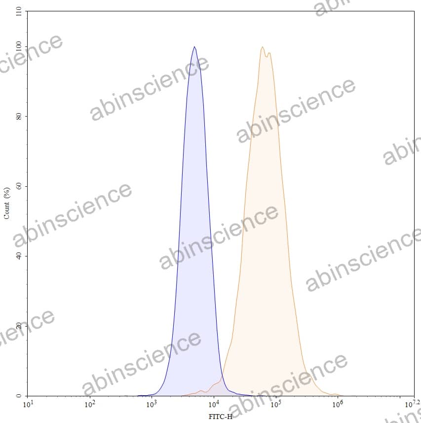 Anti-Human MICA Antibody (16A8), FITC