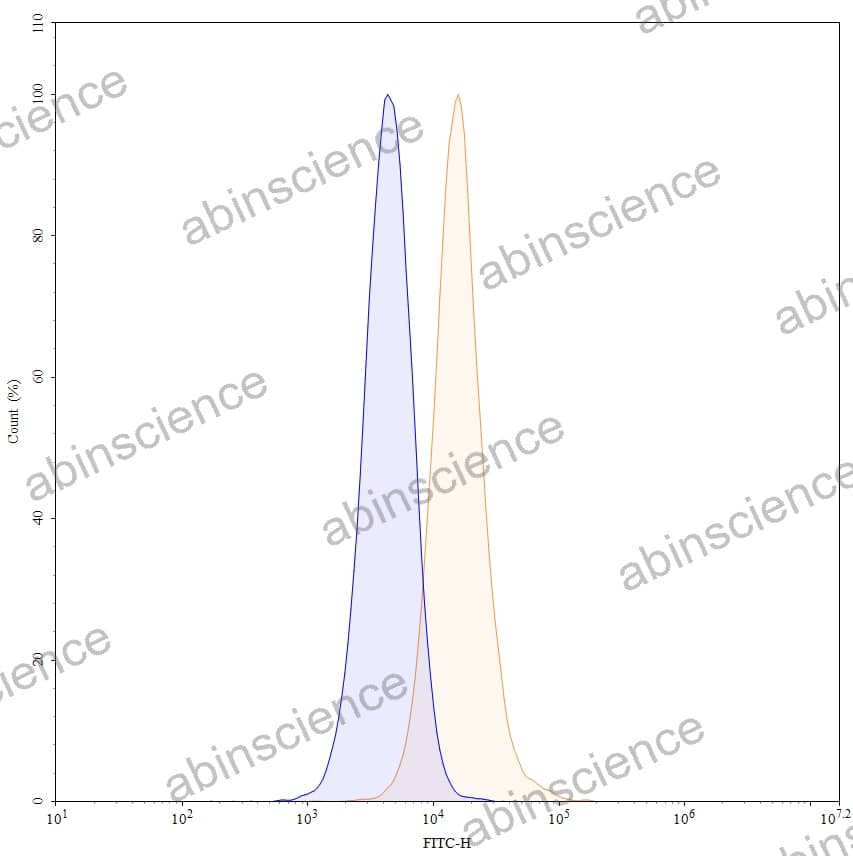 Anti-Human MICA Recombinant Antibody (16A8), FITC