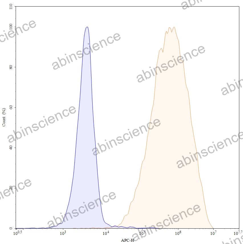 Anti-Human CD203c/ENPP3 Antibody (H1.8), APC
