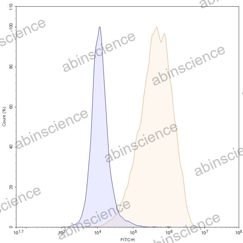 HEK293T Human CD203c/ENPP3 Stable Cell Line