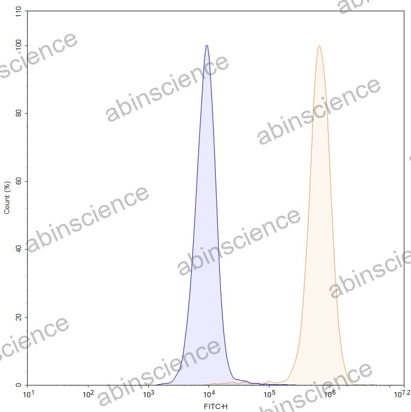 Anti-Human PODXL Antibody (Mab47)