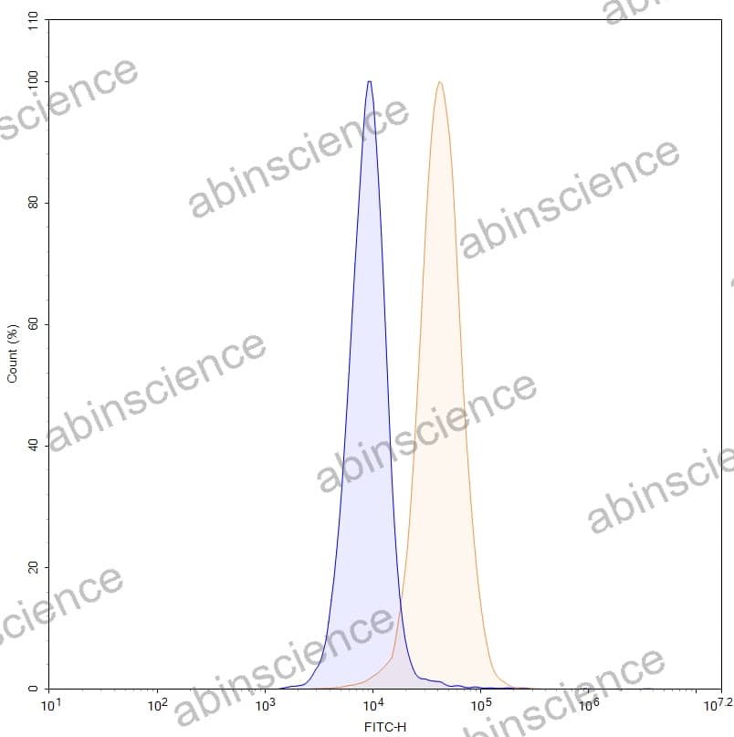 Anti-Human PODXL Antibody (Mab60)