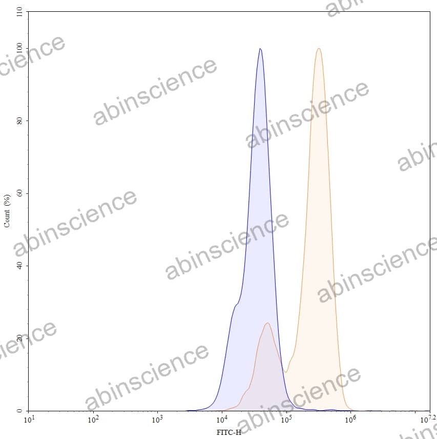 Anti-Human Gal-9/LGALS9 Recombinant Antibody (G9.2-17)