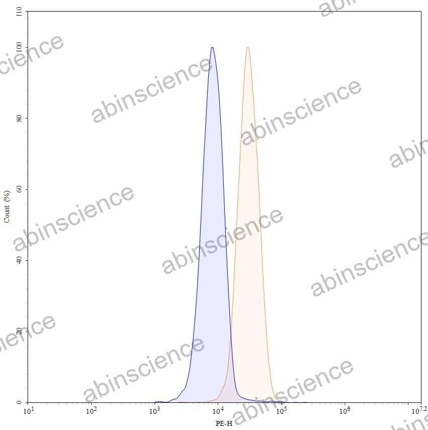 Anti-Human ADAM12 Recombinant Antibody (SAA1511), PE