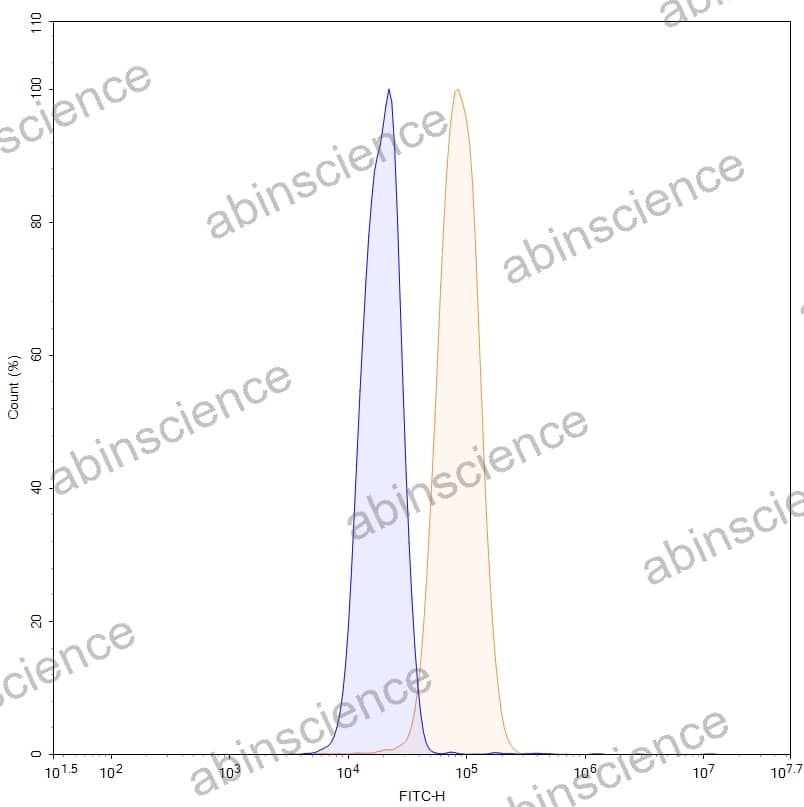 Anti-Human HJV/Hemojuvelin Reference Antibody (DISC-0974, RUO)
