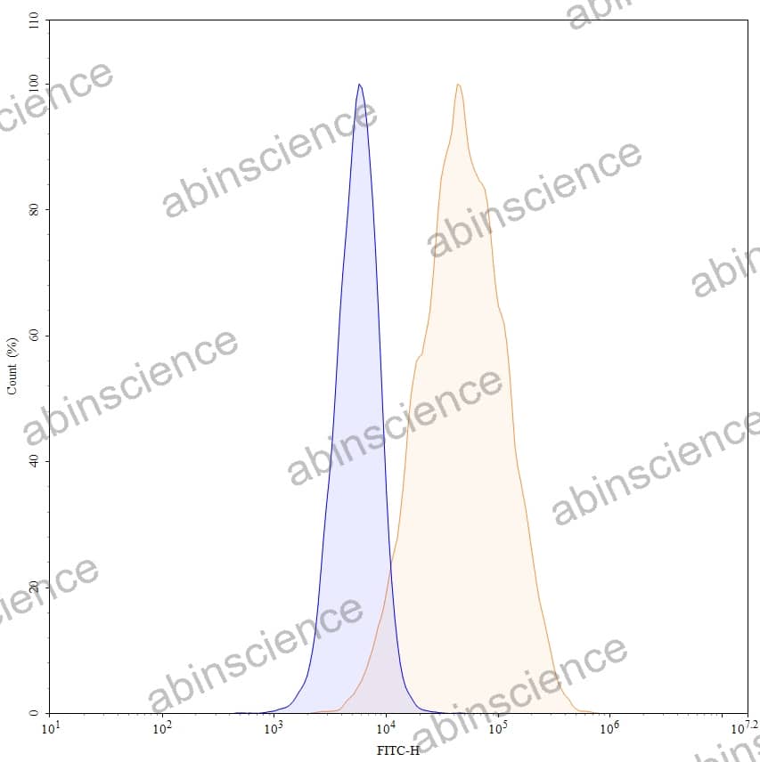 Anti-Human CD360/IL21R Antibody (18A5), FITC