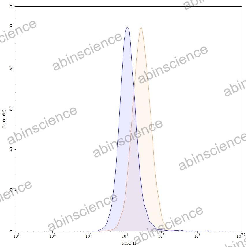 Anti-Human IL-17RA/IL-17R Reference Antibody (Brodalumab, RUO)