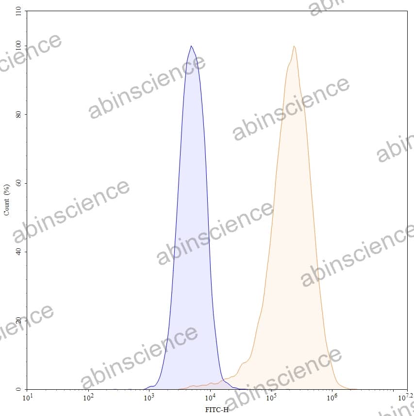 Anti-Human CD272/BTLA Recombinant Antibody (SAA0087), FITC