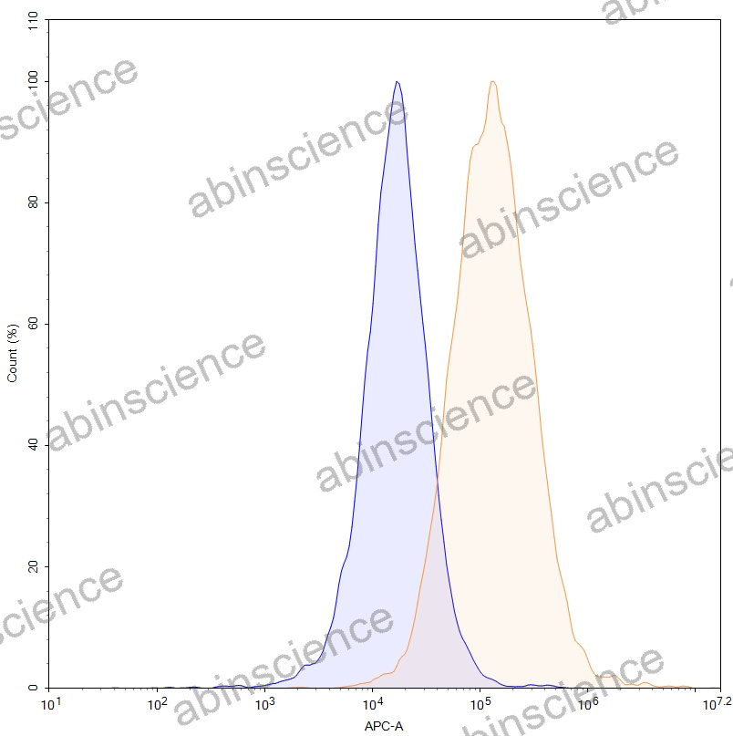 HEK293T Human CD344/FZD4 Stable Cell Line