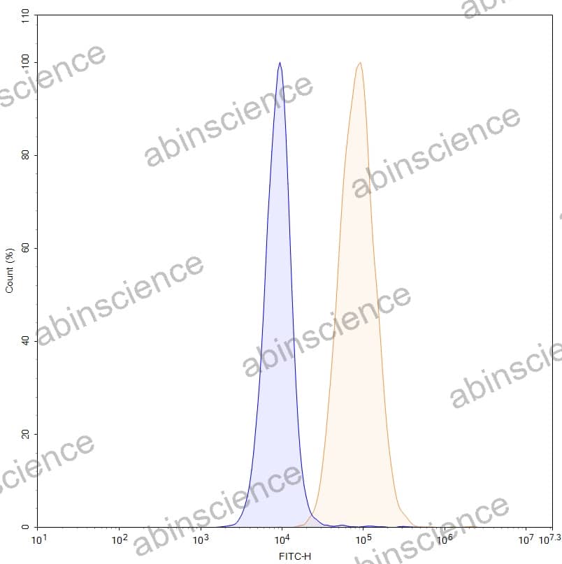 Anti-Human CDCP1 Reference Antibody (RG7287, RUO)