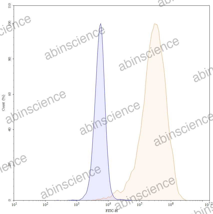 Anti-Human IL-23R Recombinant Antibody (Schering patent anti-IL-23R)