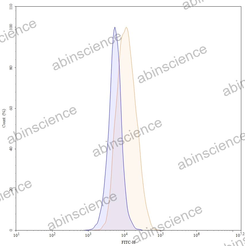 Anti-Human CD270/TNFRSF14 Antibody (36H12), FITC