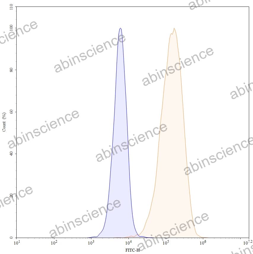 Anti-Human CD371/CLEC12A Recombinant Antibody (SAA0102), FITC