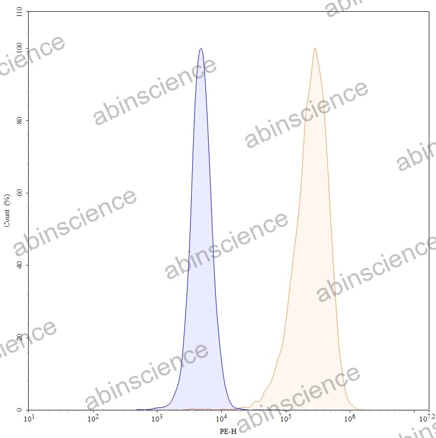 Anti-Human CD371/CLEC12A Recombinant Antibody (SAA0102), PE