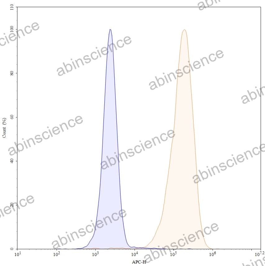 Anti-Human CD371/CLEC12A Recombinant Antibody (SAA0102), APC