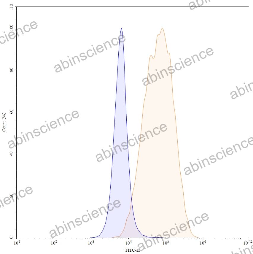 Anti-Human CD350/FZD10 Recombinant Antibody (ONC-005), FITC