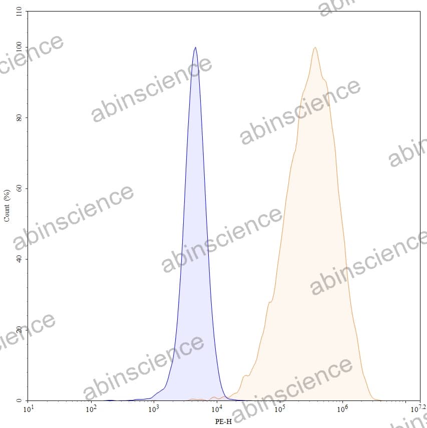 Anti-Human CD350/FZD10 Recombinant Antibody (ONC-005), PE