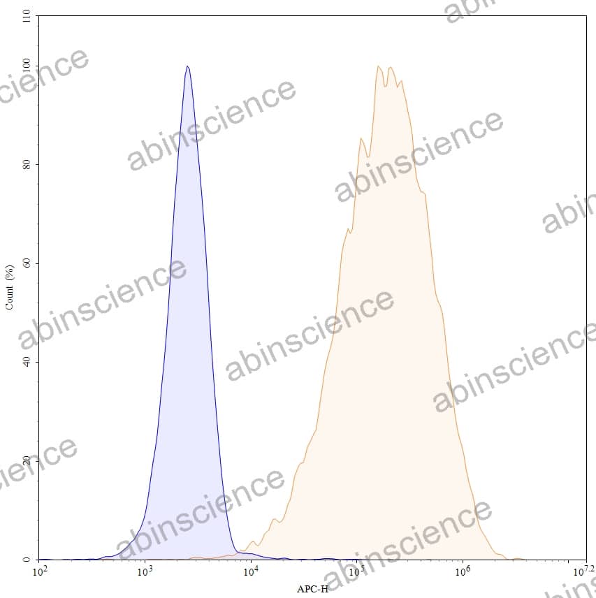 Anti-Human CD350/FZD10 Antibody (ONC-005), APC