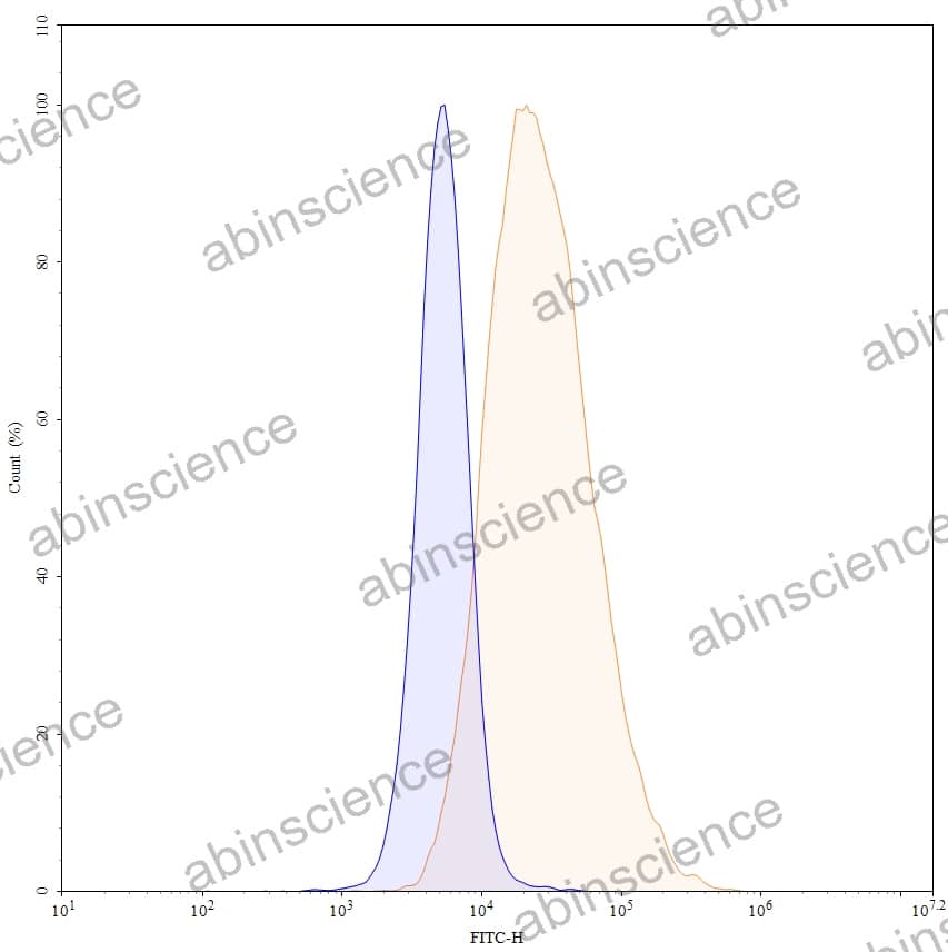 Anti-Human CD114/CSF3R Recombinant Antibody (SAA0042), FITC