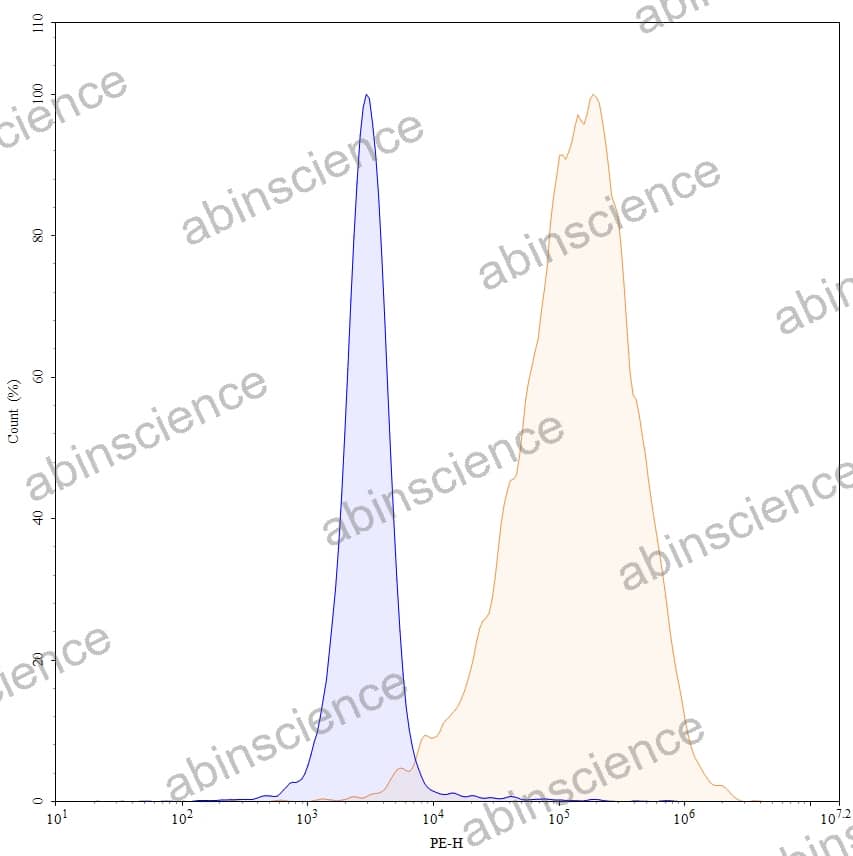 Anti-Human G-CSFR/CD114 Recombinant Antibody (SAA0042), PE
