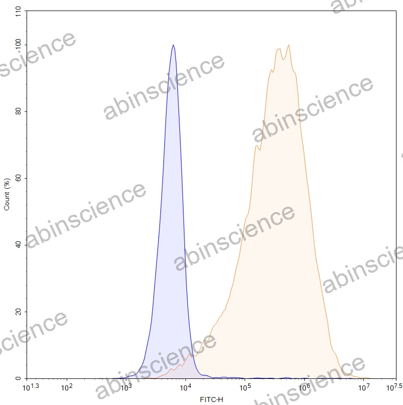 HEK293T Human VTCN1/B7-H4 Stable Cell Line