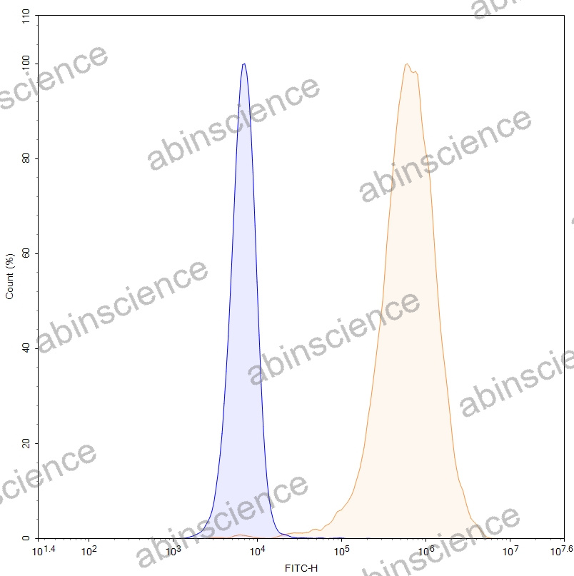HEK293T Human CD274/PD-L1/B7-H1 Stable Cell Line
