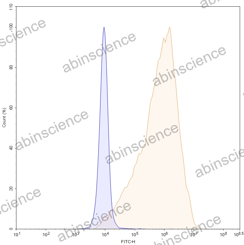 HEK293T Human NECTIN4/PVRL4 Stable Cell Line
