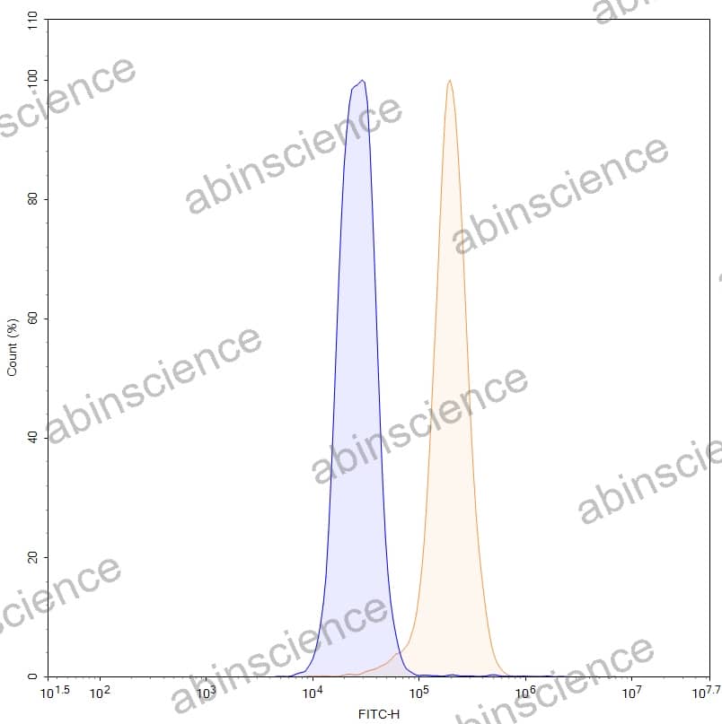 Anti-Human LEAP2 Recombinant Antibody (SAA2082)