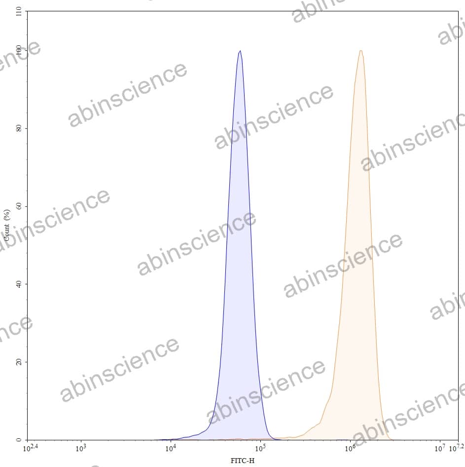 Anti-Human MMP14 Recombinant Antibody (LEM-2/15)
