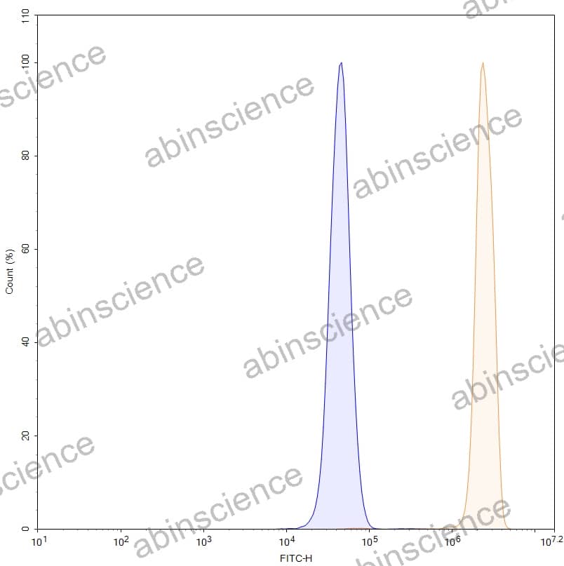 Research Grade Anti-Human MMP14 (KD014)