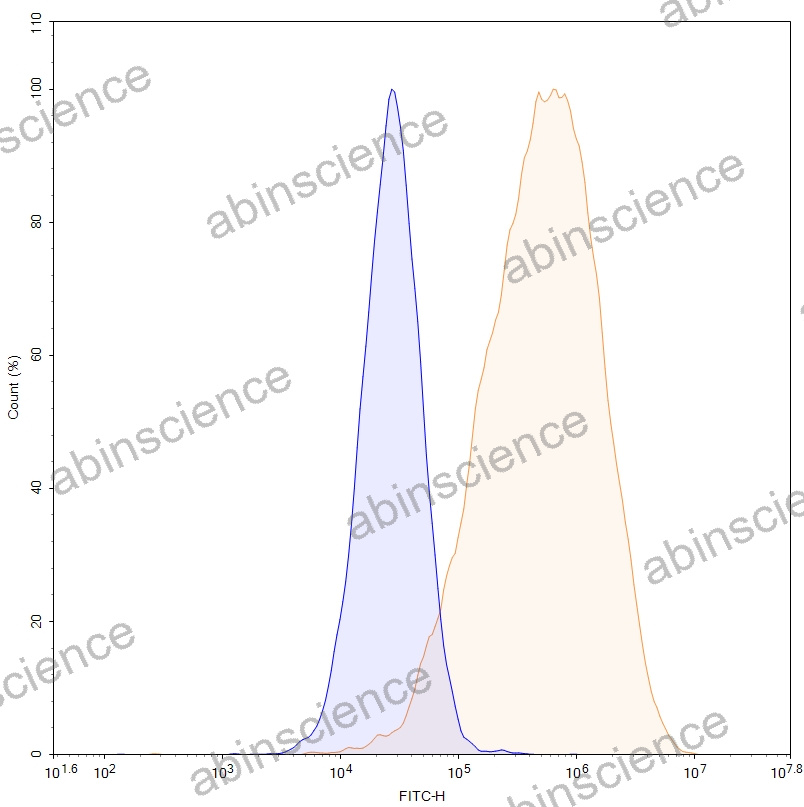 HEK293T Human GPC3/Glypican 3 Stable Cell Line