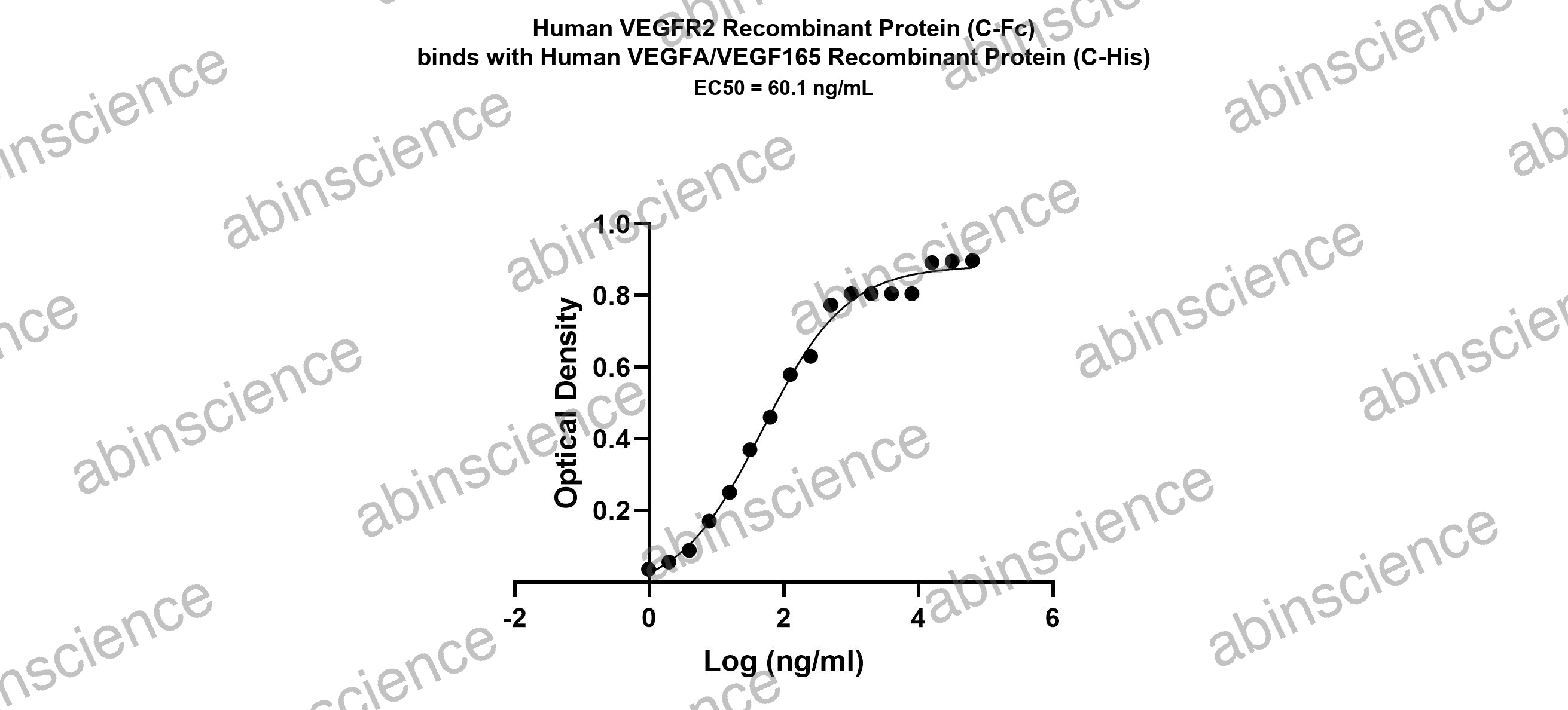 Human VEGFR2/KDR/Flk-1 Recombinant Protein (C-Fc)