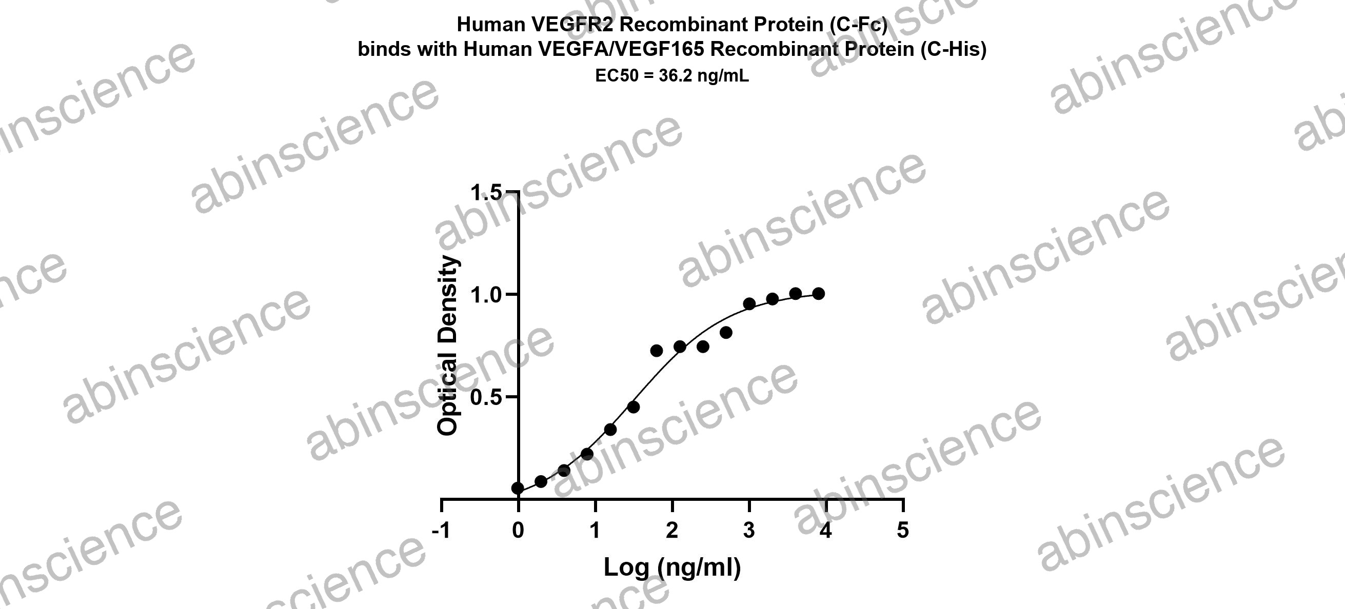 Human VEGFR2/KDR/Flk-1 Recombinant Protein (C-Fc)