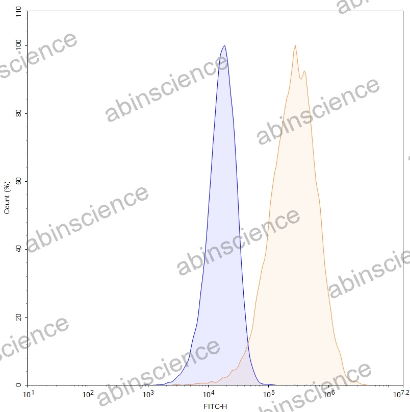 HEK293T Human CD196/CCR6 Stable Cell Line