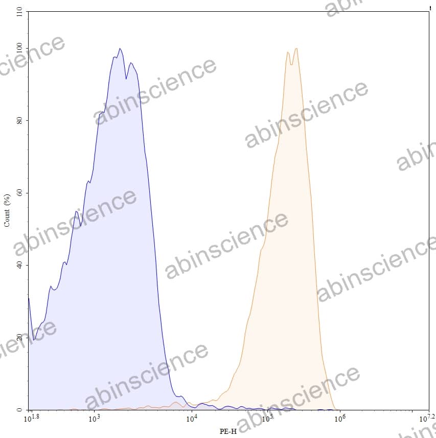 Anti-Human CD79B Reference Antibody (Iladatuzumab, RUO)