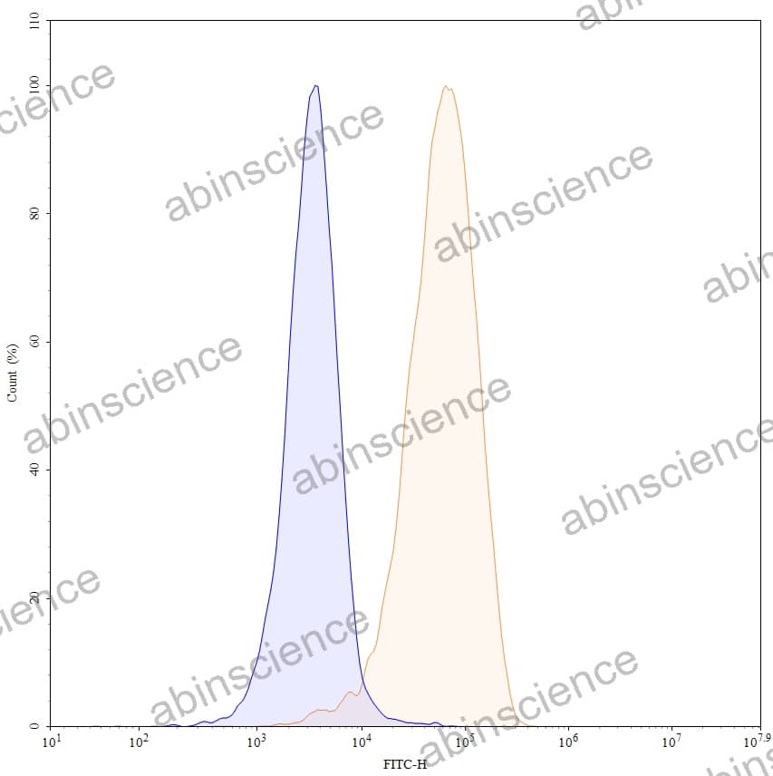 Anti-Human CD79B Reference Antibody (Iladatuzumab, RUO)