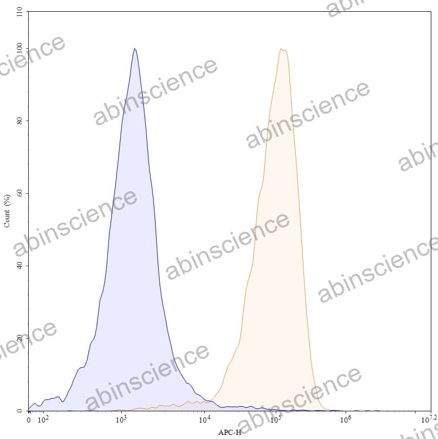 Anti-Human CD79β/CD79B Recombinant Antibody (SAA0035), APC