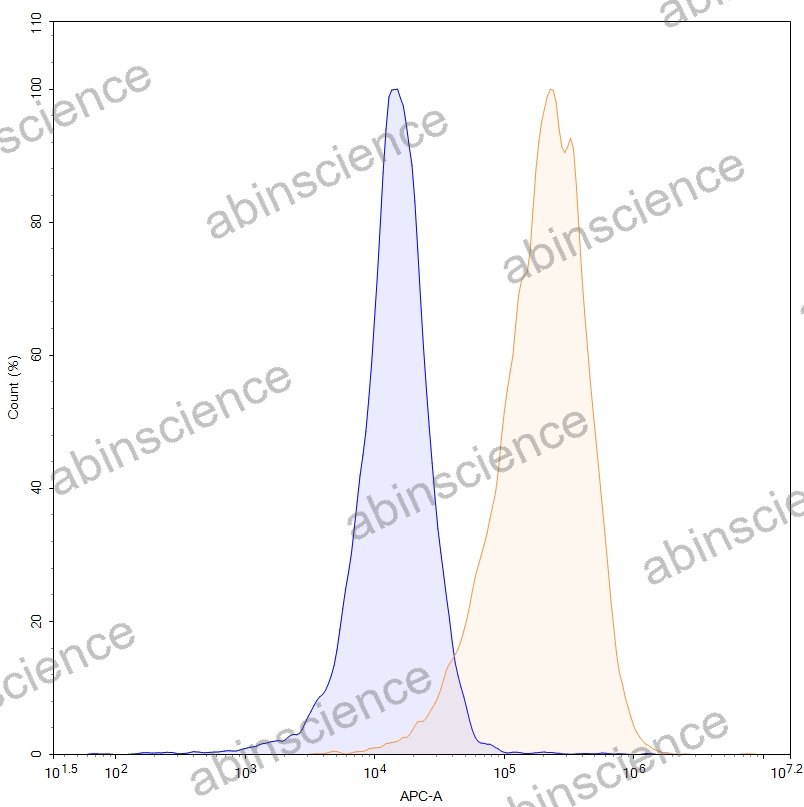 HEK293T Human CD198/CCR8 Stable Cell Line