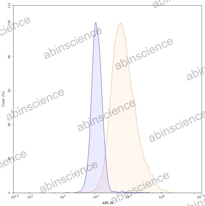 Anti-Human CEACAM-5/CD66e Reference Antibody (Sulesomab, RUO)