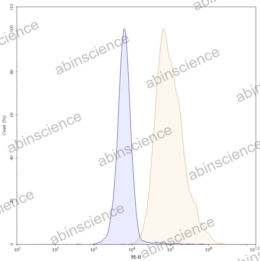 Anti-Human CEACAM-5/CD66e Reference Antibody (Sulesomab, RUO)
