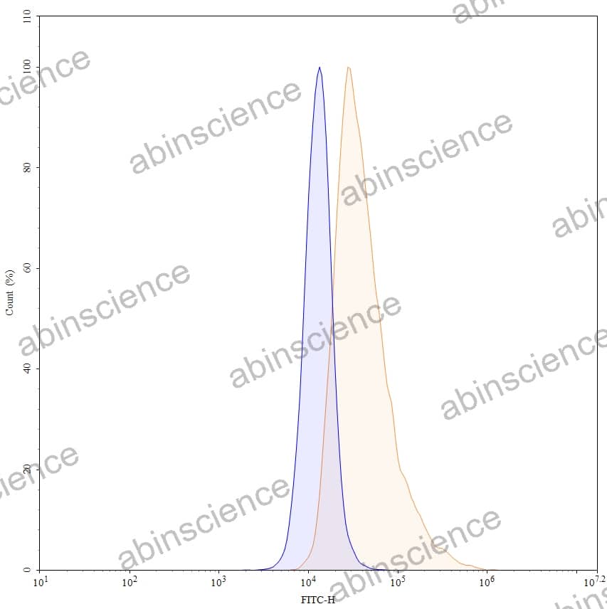 Anti-Human CEACAM-5/CD66e Reference Antibody (Sulesomab, RUO)